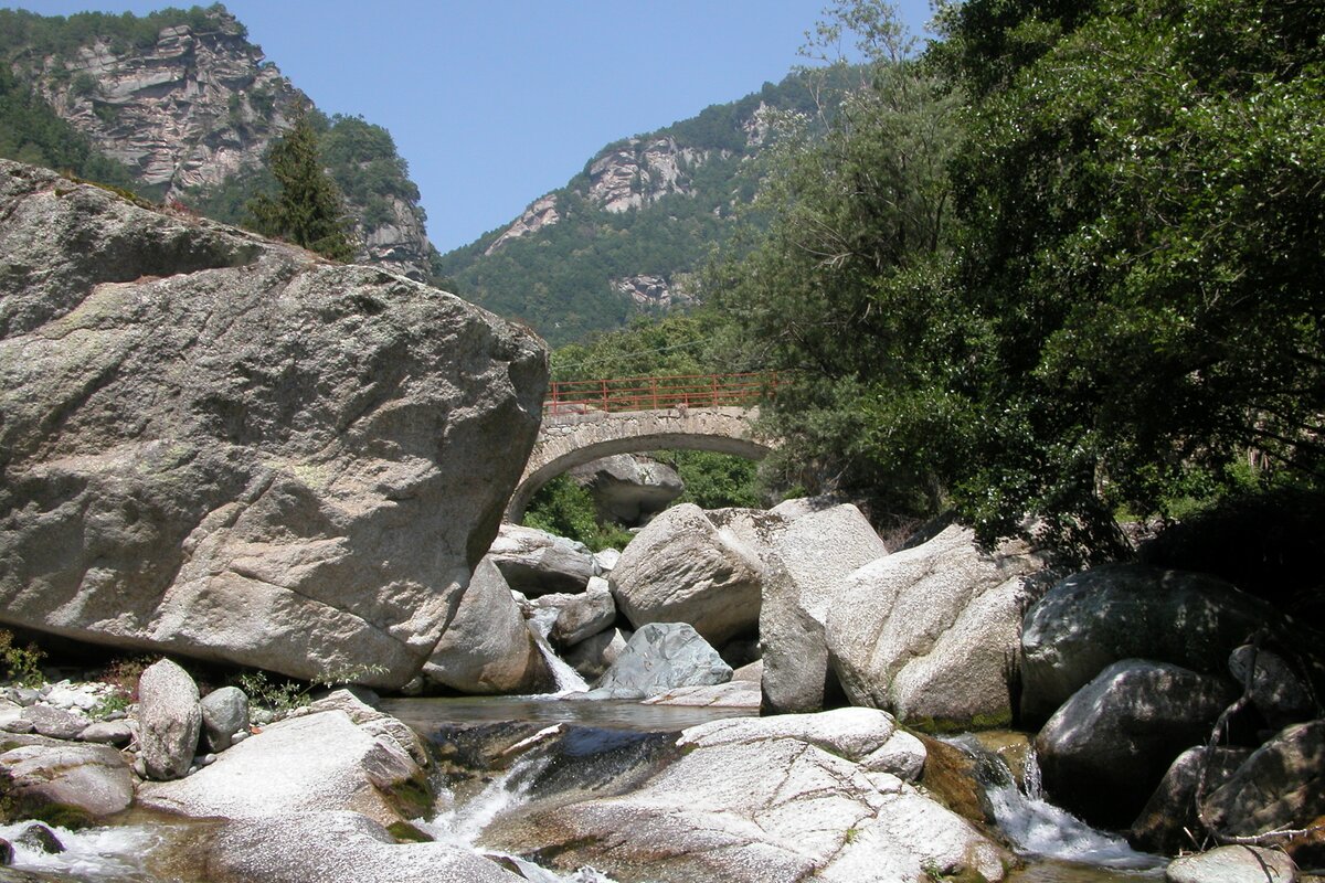 Rapido Fiume Che D'alpestra Vena Riassunto