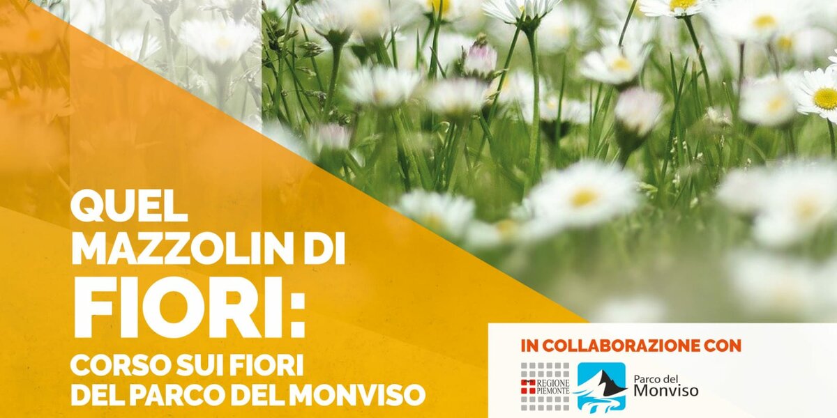 Immagine con descrizione mancante