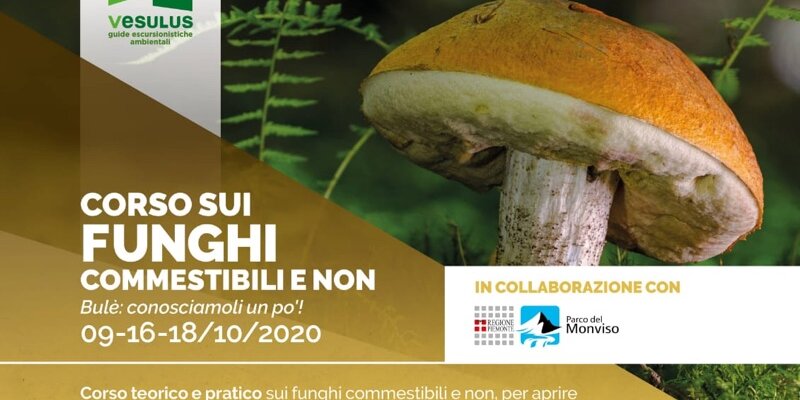 Immagine con descrizione mancante