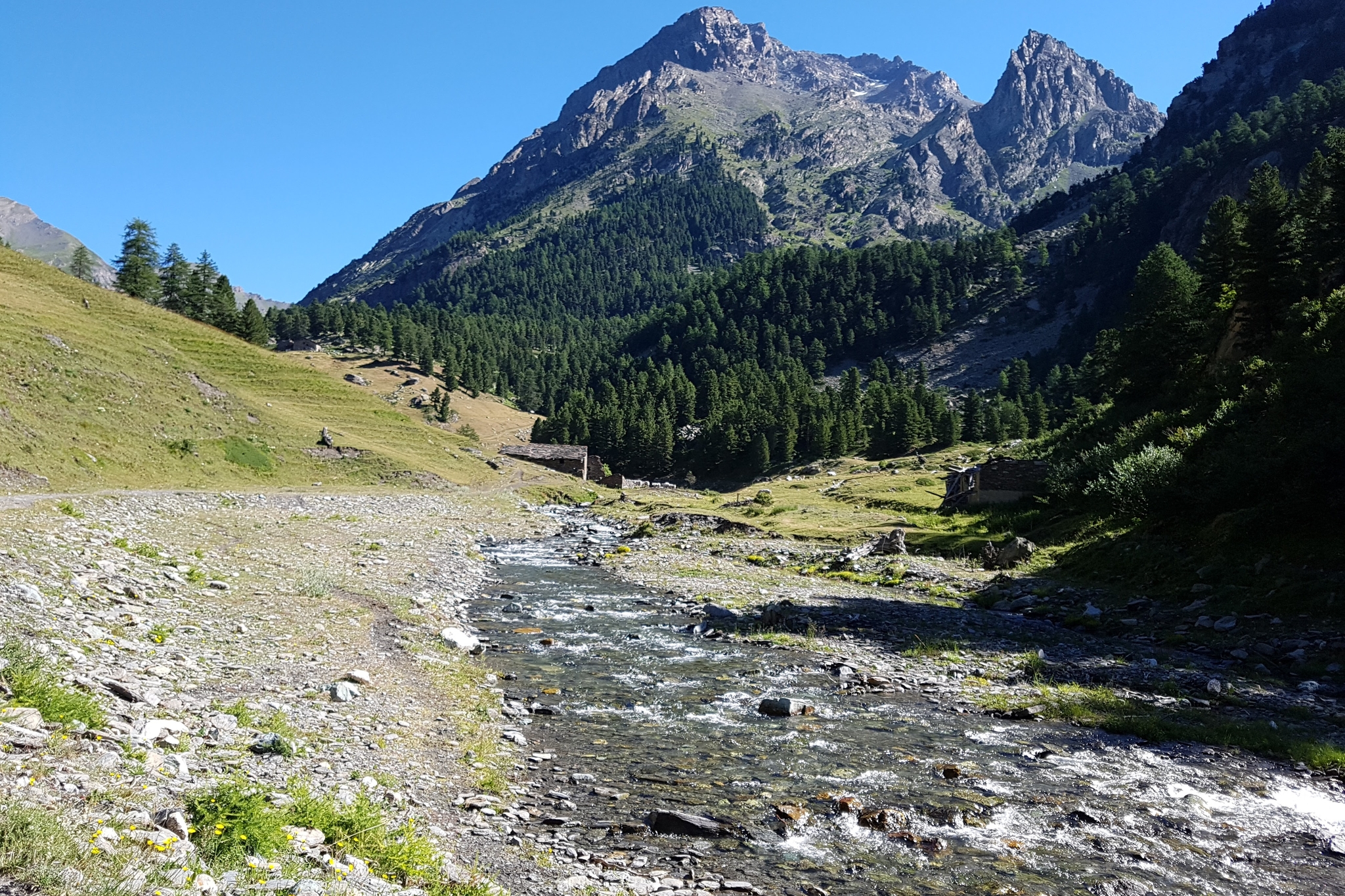 Il torrente vallanta che scorre tra pendii erbosi, a destra ricoperti di larici, a sinistra si intravede una balma di pietra