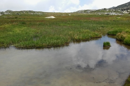 laghetto in primo piano tra prateria e torbiera