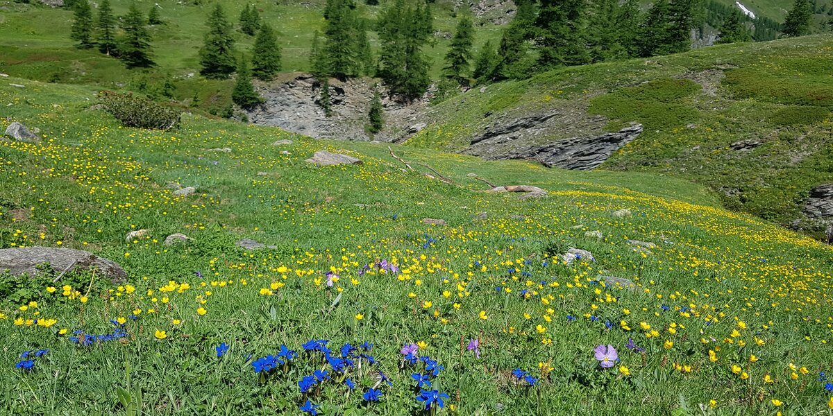 Immagine con descrizione mancante