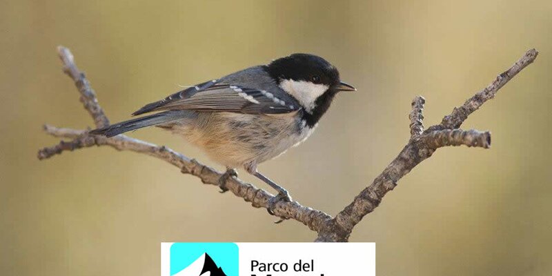 Immagine con descrizione mancante