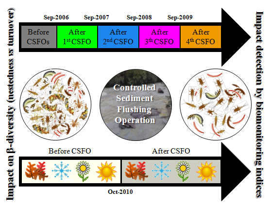 Graphical abstract dell’articolo “Beta-diversity and stressor specific index reveal patterns of macroinvertebrate community response to sediment flushing” di Alberto Doretto, Elena Piano, Stefano Fenoglio, Francesca Bona, Giuseppe Crosa, Paolo Espa, Silvia Quadroni, pubblicato sulla rivista “Ecological Indicators”