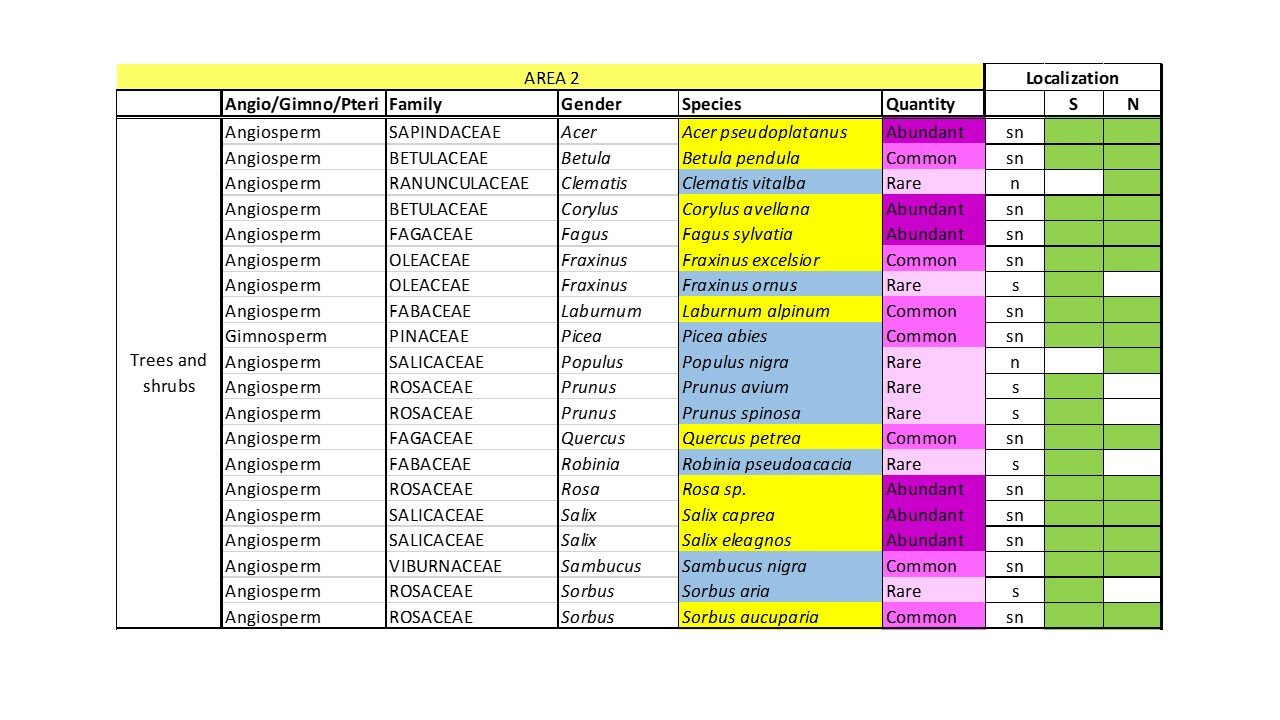 tabella riportante la checklist delle specie di piante arboree ed arbustive rinvenute nell'area di studio 2