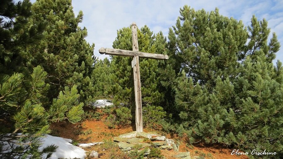 Una croce in legno poggia su alcune rocce circondata da pini cembri, a terra un letto di aghi di pino secchi e qualche macchia di neve