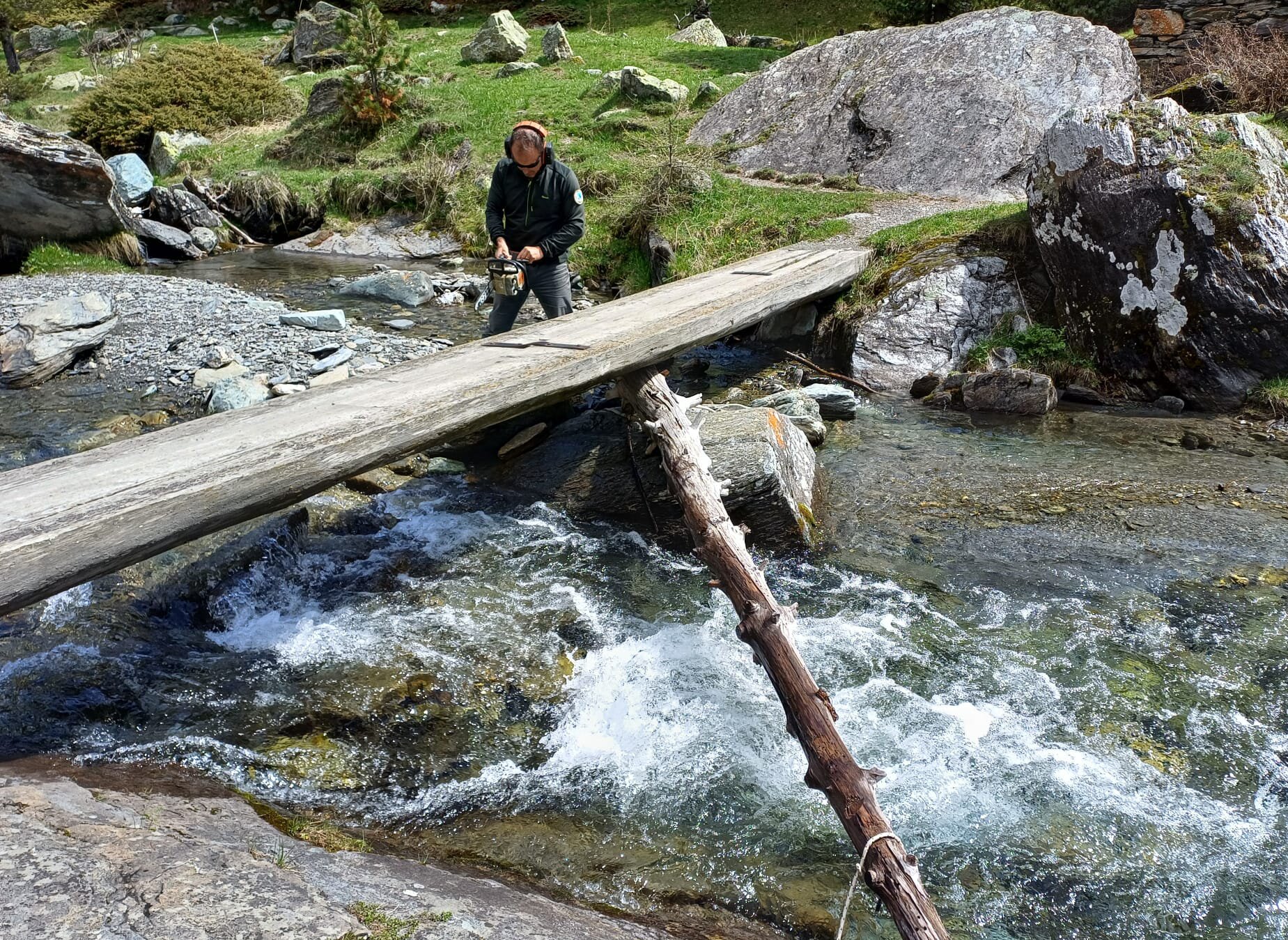 un operaio del Parco del Monviso immerso per metà nelle acque di un torrente sta azionando una motosega per tagliare un tronco di grandi dimensioni che si è incastrato sotto a una passerella di legno