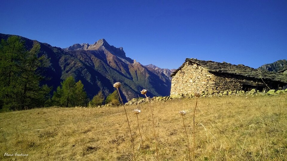 prateria alpina con vecchia costruzione in pietra (grange pralambert sottane), dietro visuale panoramica del pelvo d'elba, dalla caratteristica punta affusolata
