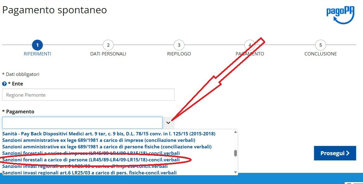 istruzioni sanzioni regione