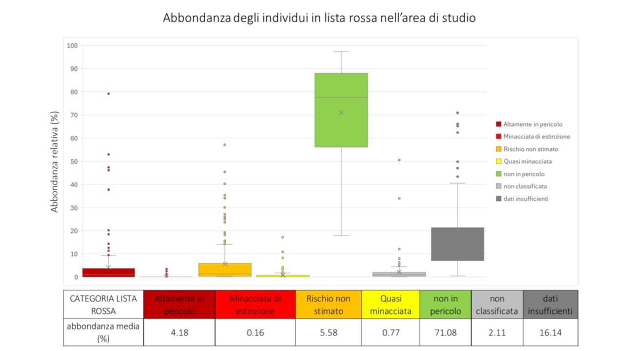 box plot che illustra l'abboindanza media delle diatomee nelle diverse categorie identificate nella lista rossa