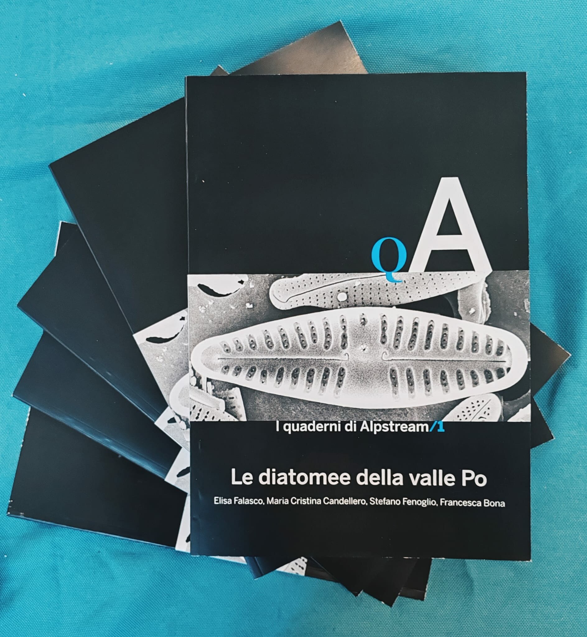 foto di alcuni volumi dell'Atlante delle diatomee della valle Po