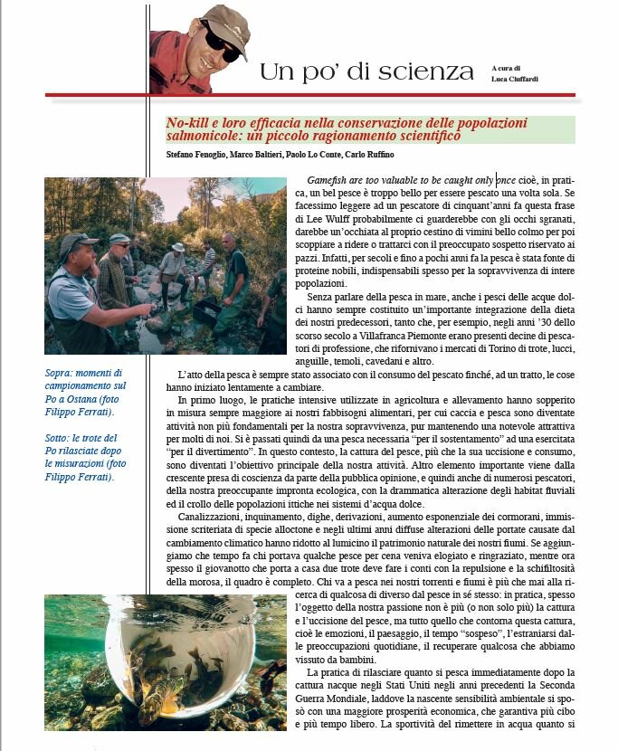 Screenshot della prima pagina dell’articolo “No-kill e loro efficacia nella conservazione delle popolazioni salmonicole: un piccolo ragionamento scientifico” di Stefano Fenoglio, Marco Baltieri, Paolo Lo Conte e Carlo Ruffino, pubblicato sulla rivista “Fly Line”