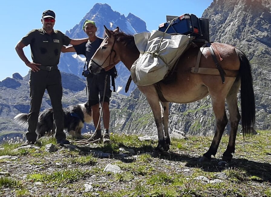 Un guardiaparco e un mulo con il suo conduttore