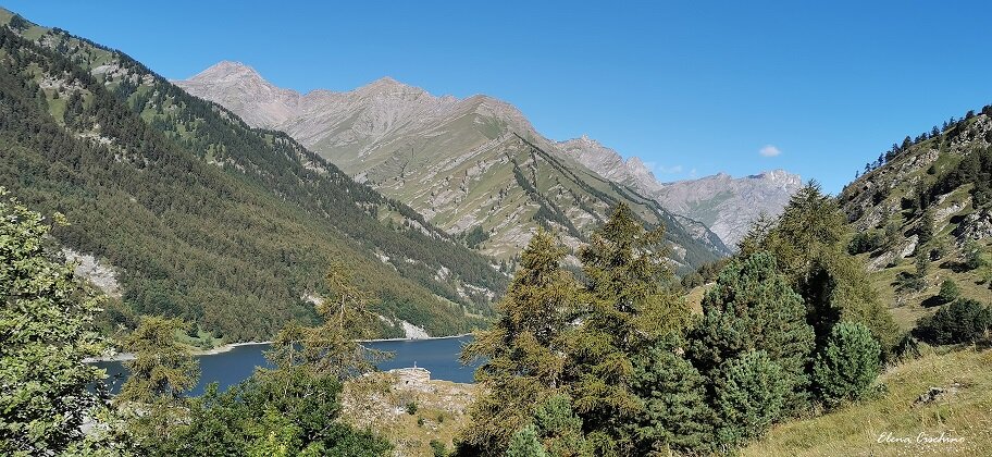 in primo piano larici, pini cembri e prati dietro cui si intravede parte del lago di castello di un azzurro inteso. oltre il lato i pendii della montagna. cielo azzurro