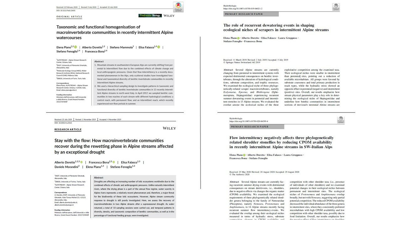 In alto a sinistra: Screenshot della prima pagina dell’articolo “Taxonomic and functional homogenisation of macroinvertebrate communities in recently intermittent Alpine watercourses” di Elena Piano, Alberto Doretto, Stefano Mammola, Elisa Falasco, Stefano Fenoglio e Francesca Bona, pubblicato sulla rivista “Freshwater Biology” 
In alto a destra: Screenshot della prima pagina dell’articolo “The role of recurrent dewatering events in shaping ecological niches of scrapers in intermittent Alpine streams” di Elena Piano, Alberto Doretto, Elisa Falasco, Laura Gruppuso, Stefano Fenoglio e Francesca Bona, pubblicato sulla rivista “Hydrobiologia” 
In basso a sinistra: Screenshot della prima pagina dell’articolo “Stay with the flow: How macroinvertebrate communities recover during the rewetting phase in Alpine streams affected by an exceptional drought” di Alberto Doretto, Francesca Bona, Elisa Falasco, Daniele Morandini, Elena Piano e Stefano Fenoglio, pubblicato sulla rivista “River Research and Applications” 
In basso a destra: Screenshot della prima pagina dell’articolo “Flow intermittency negatively affects three phylogenetically related shredder stoneflies by reducing CPOM availability in recently intermittent Alpine streams in SW-Italian Alps” di Elena Piano, Alberto Doretto, Elisa Falasco, Laura Gruppuso, Francesca Bona e Stefano Fenoglio, pubblicato sulla rivista Hydrobiologia”