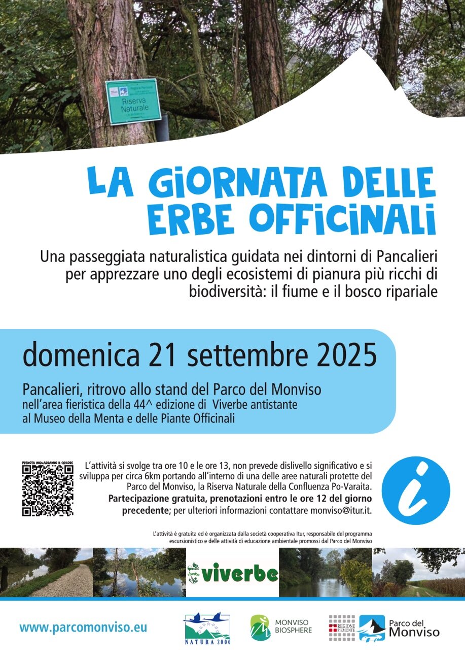 La locandina dell'evento