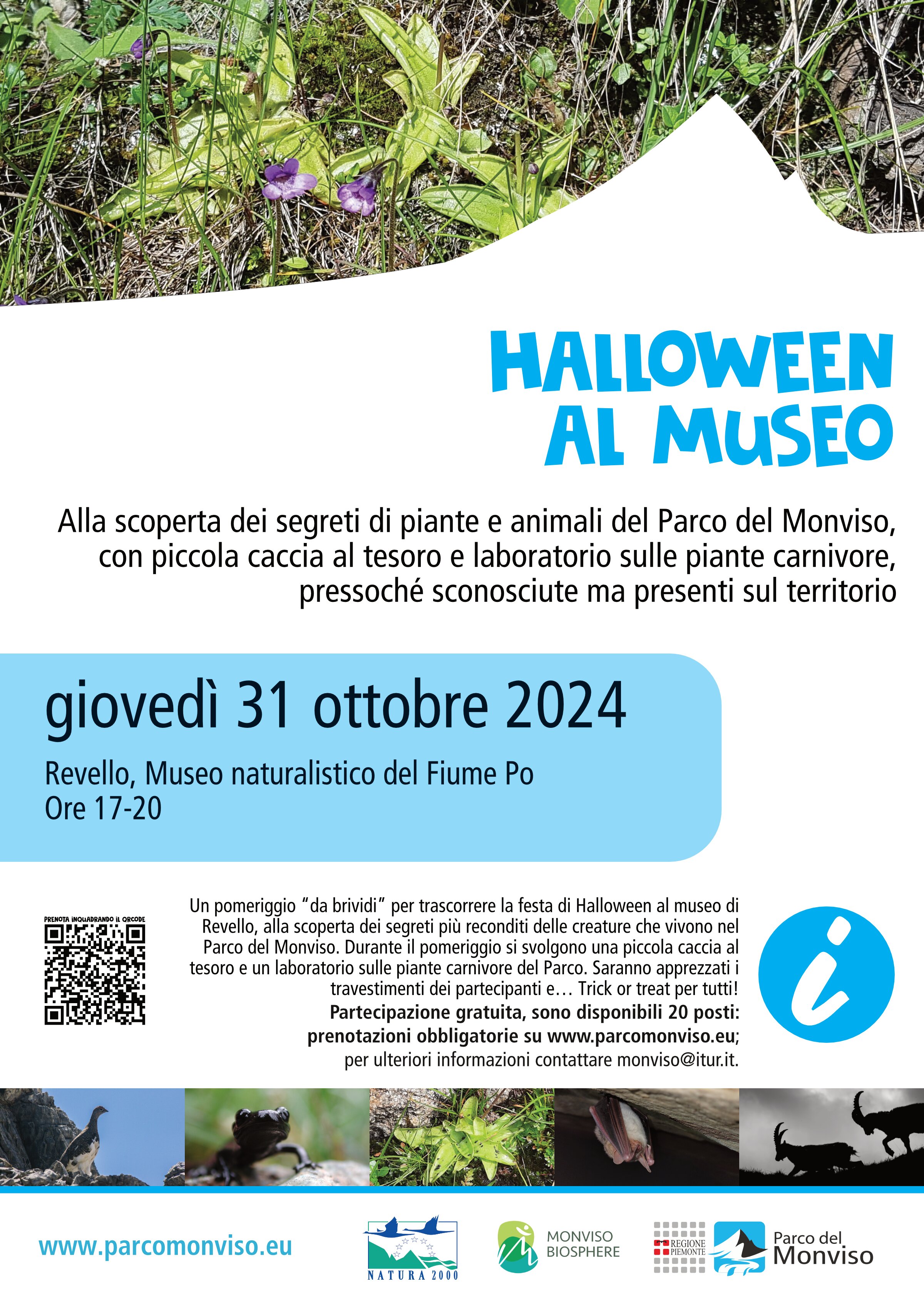 manifesto dell'attività