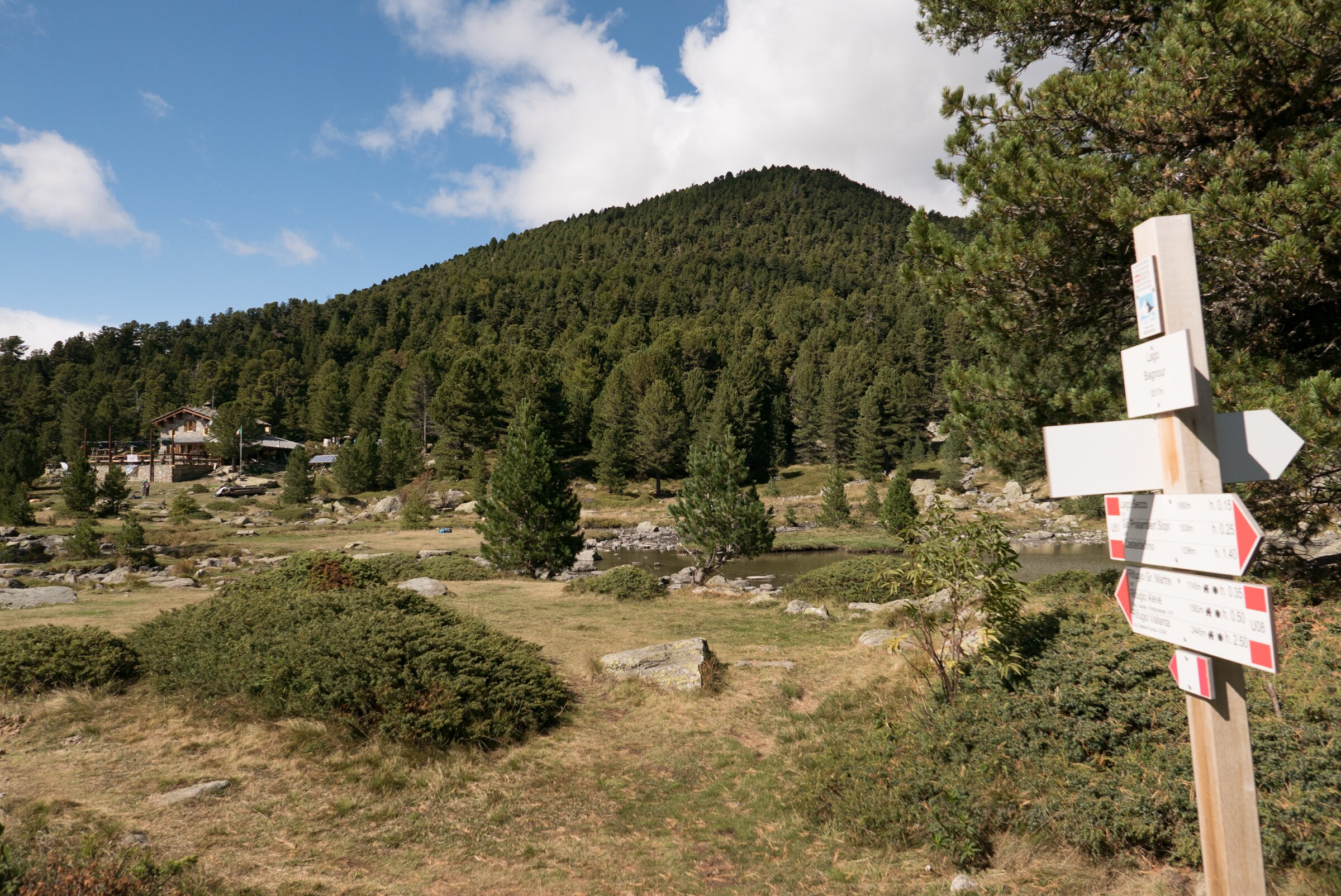 Una costruzione in muratura in lontananza, il rifugio Bagnour, si immerge nel bosco di pini cembri dell'Alevè. Al centro della foto lo specchio d'acqua del lago Bagnour, a destra in basso un cartello con alcune paline escursionistiche.