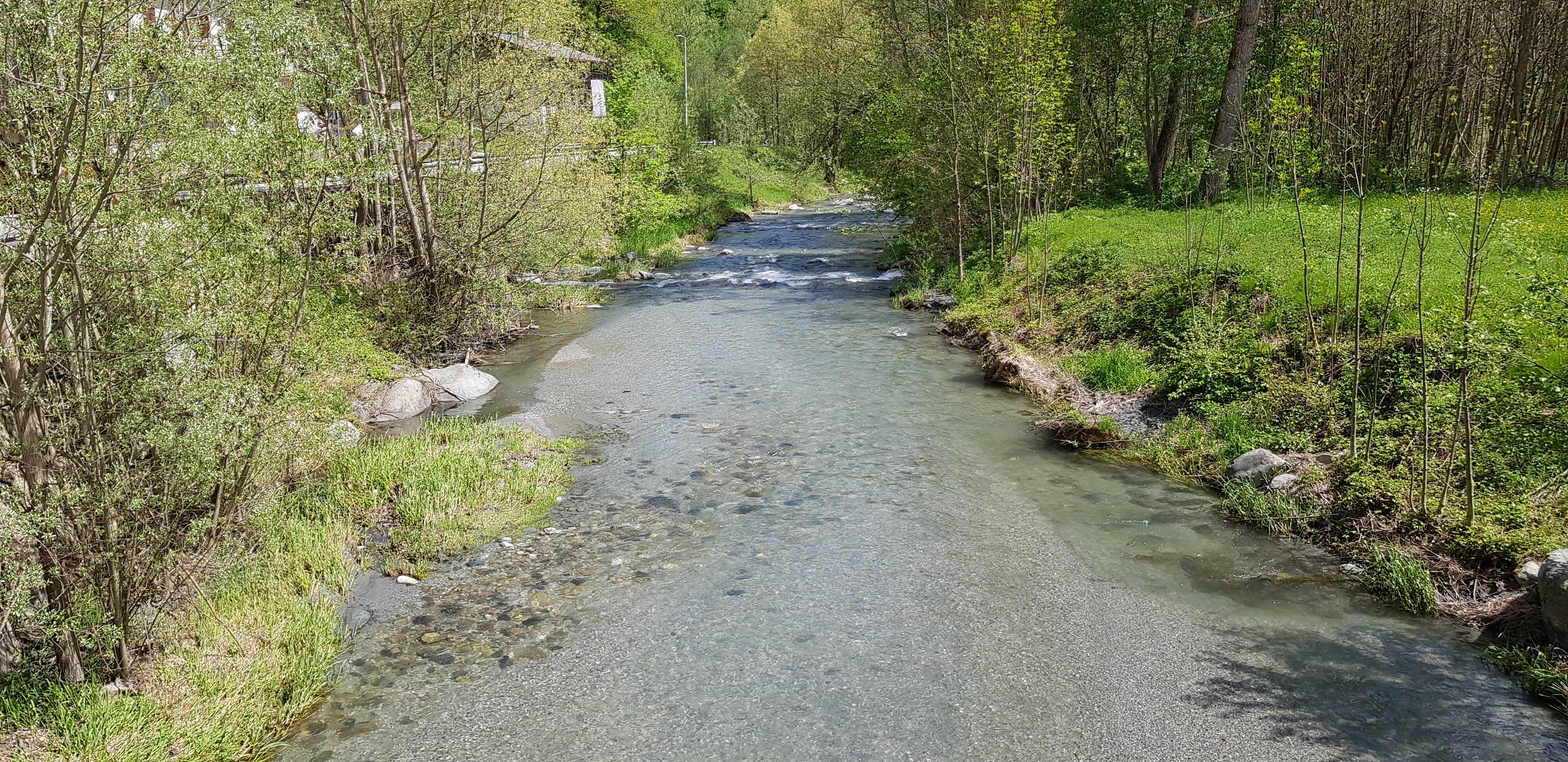 Effetti delle operazioni di svaso della Diga di Sampeyre sul torrente Varaita: nella foto si osserva il letto fluviale significativamente impattato dall’accumulo di sedimento fine