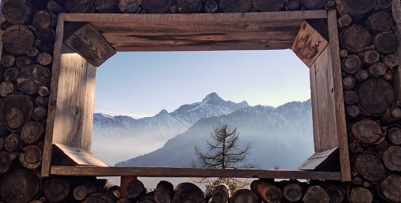 Una cornica in legno fatta di piccoli tronchi inconrnicia il pelvo d'elva, punta imbiancata con davanti un larice