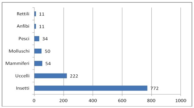 una tabella che riporta il numero delle specie censite nelle Aree protette del Monviso: rettili 11, anfibi 11, pesci 34, molluschi 50, mammiferi 54, uccelli 222, insetti 772