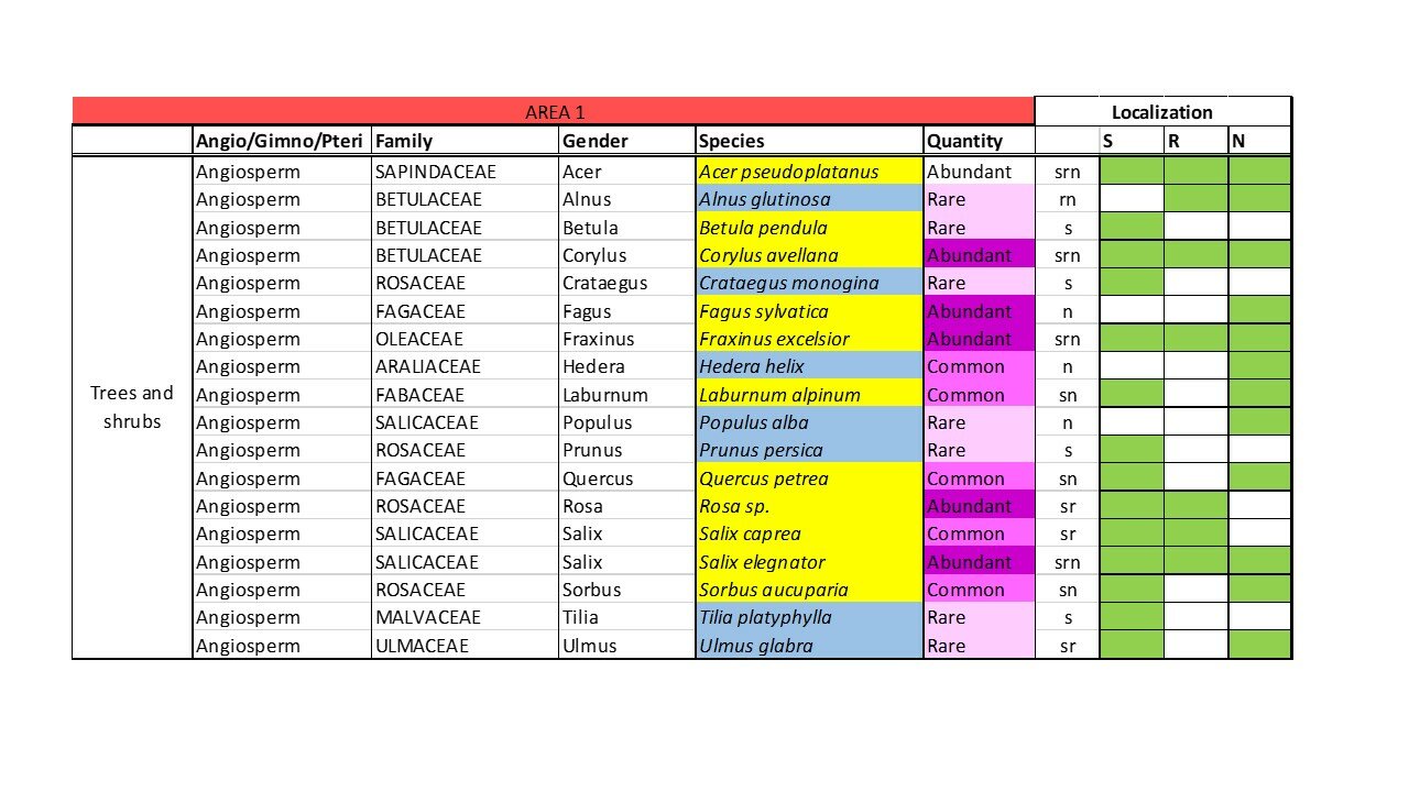tabella riportante l'elenco delle specie di alberi e arbusti rinvenuti nell'area di studio 1
