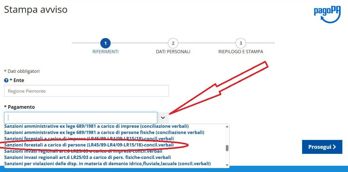 istruzioni sanzioni regione