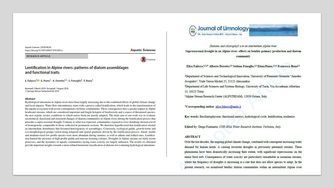 A sinistra: screenshot dell’articolo “Lentification in Alpine rivers: patterns of diatom assemblages and functional traits” di Elisa Falasco, Elena Piano, Alberto Doretto, Stefano Fenoglio and Francesca Bona, pubblicato sulla rivista “Aquatic Science”. A destra: Screenshot della prima pagina dell’articolo “Diatoms and chlorophyll a in an intermittent Alpine river: Supraseasonal drought in an Alpine river: effects on benthic primary production and diatom community” di Elisa Falasco, Alberto Doretto, Stefano Fenoglio, Elena Piano e Francesca Bona, pubblicato sulla rivista “Journal of Limnology”