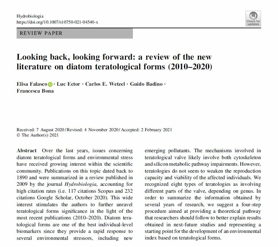 Screenshot della prima pagina dell’articolo “Looking back, looking forward: a review of the new literature on diatom teratological forms (2010–2020)” di Elisa Falasco, Luc Ector, Carlos E. Wetzel, Guido Badino e Francesca Bona, pubblicato sulla rivista “Hydrobiologia”