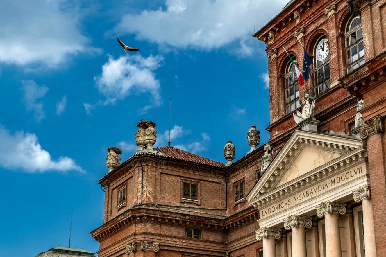 Una cicogna bianca si libra in volo alla sinistra della facciata del Castello di Racconigi, della quale si vede un dettaglio del timpano con il soprastante loggiato con l'orologio