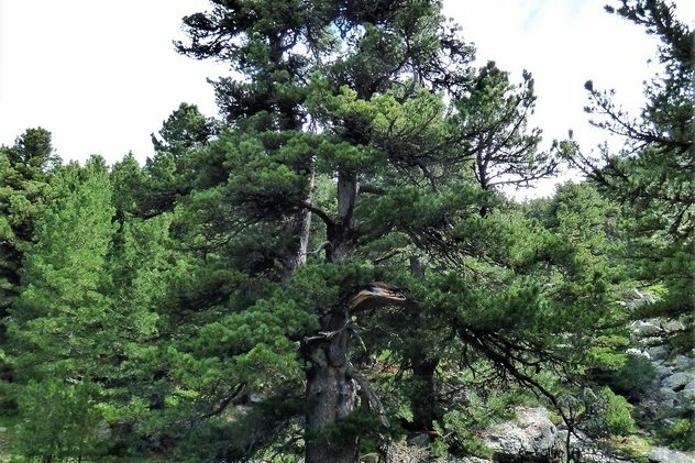 Immagine con descrizione mancante