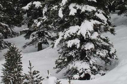 Immagine con descrizione mancante