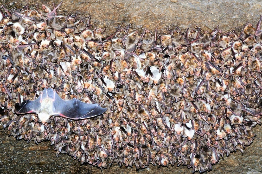 Immagine con descrizione mancante