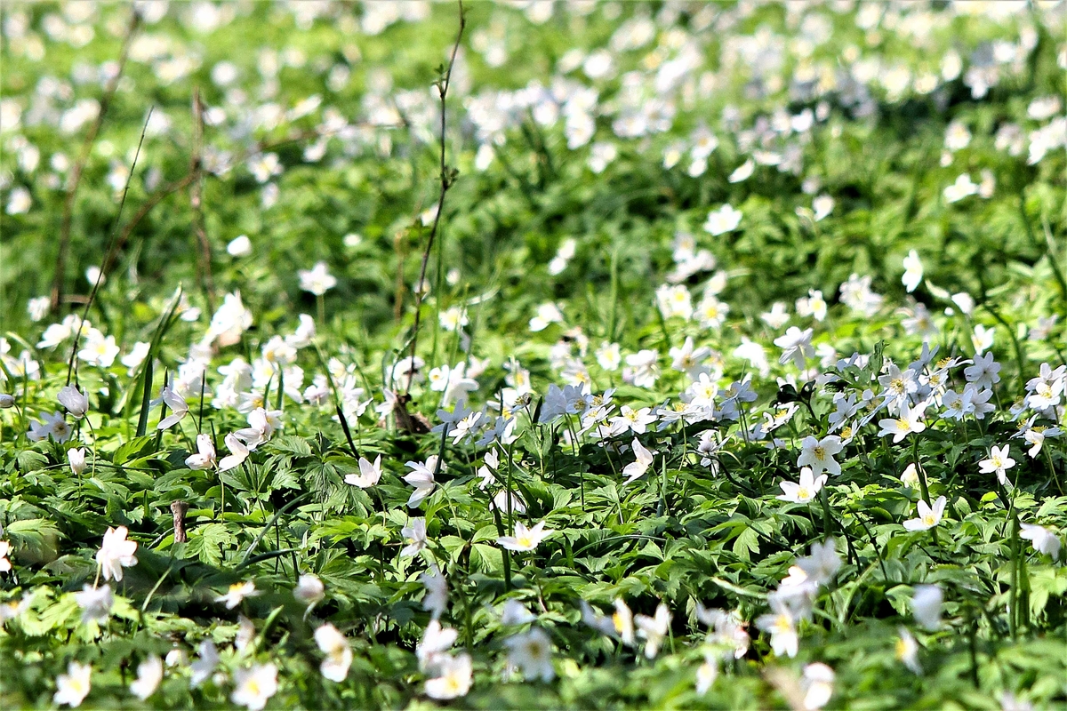 Immagine con descrizione mancante