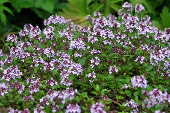 Immagine con descrizione mancante