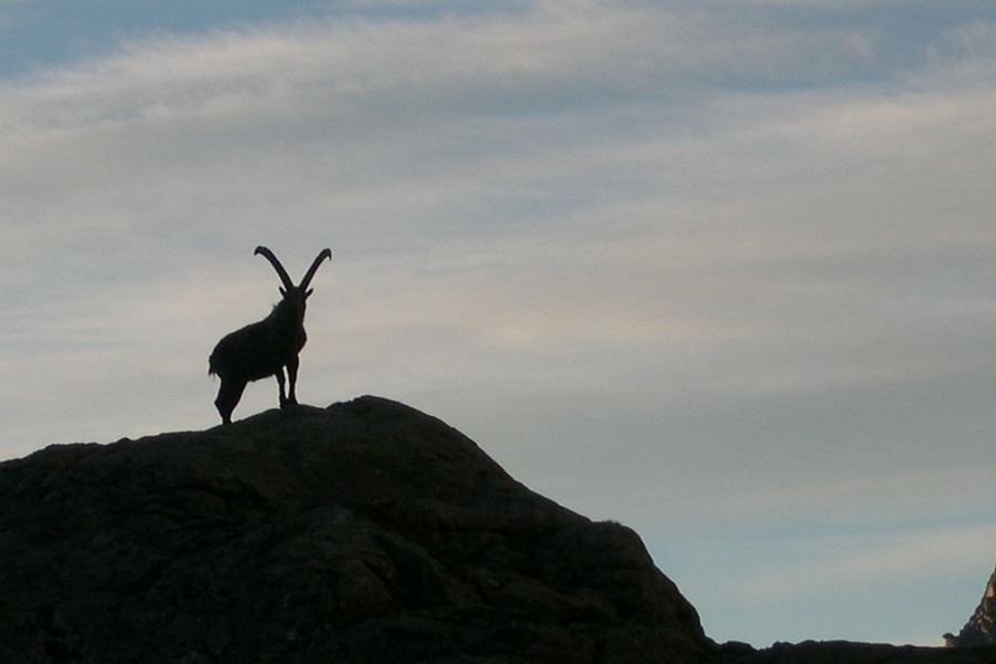 Immagine con descrizione mancante