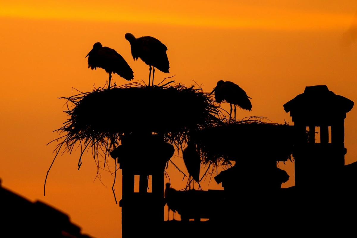 Immagine con descrizione mancante