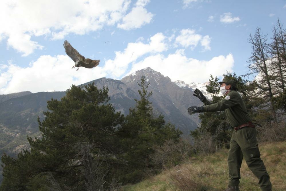 Immagine con descrizione mancante