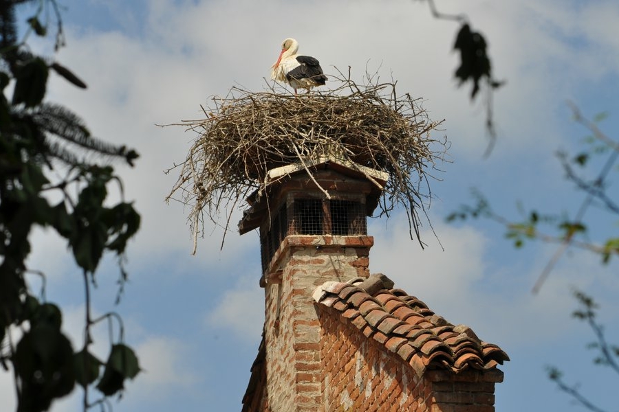 Immagine con descrizione mancante