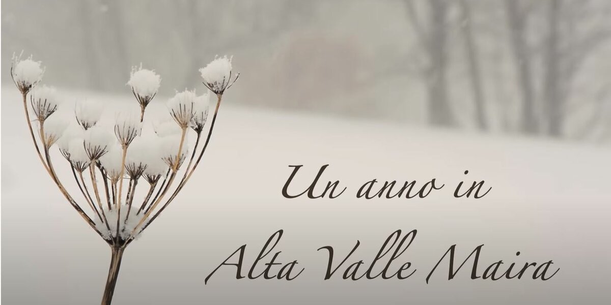 Immagine con descrizione mancante