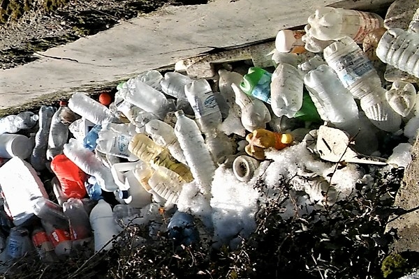 molte bottigliette di platica accumulate in un'ansa di un corso d'acqua