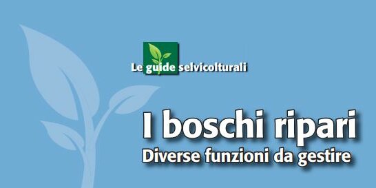 Immagine con descrizione mancante