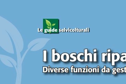 Immagine con descrizione mancante