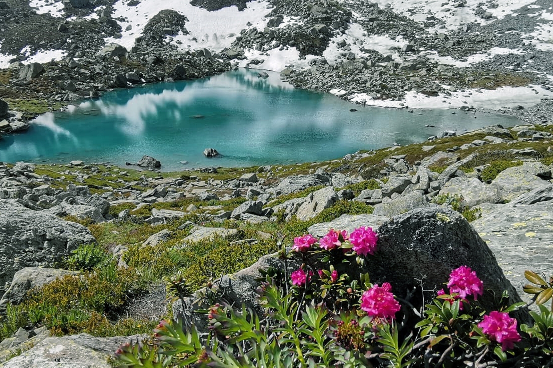 Immagine con descrizione mancante