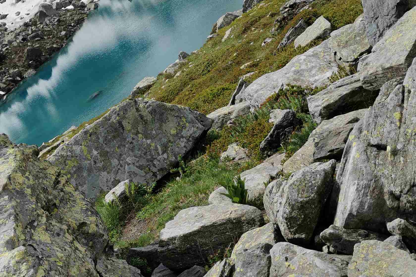 Immagine con descrizione mancante