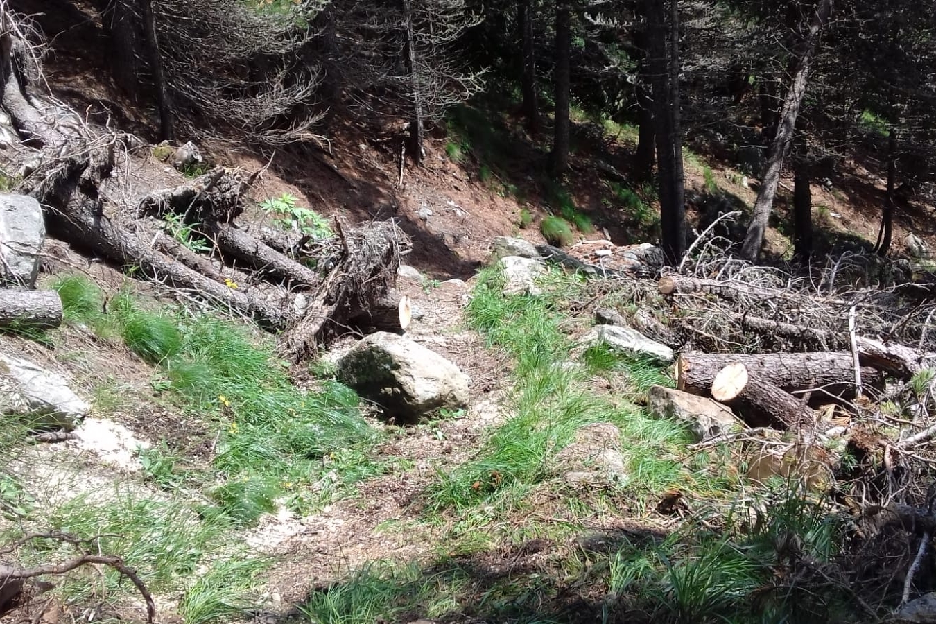 Immagine con descrizione mancante