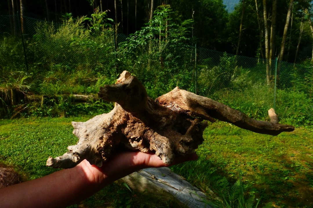 Immagine con descrizione mancante