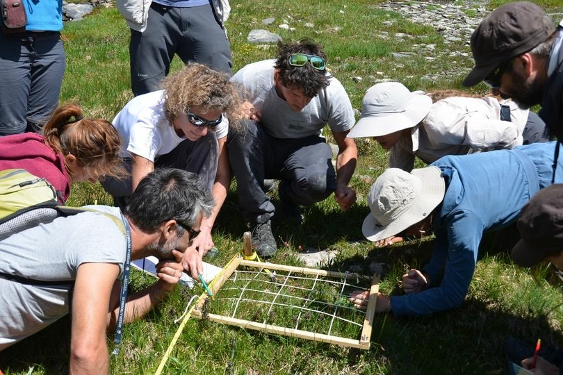 un gruppo di persone chinate in un prato ad osservare un reticolo fatto di spago e legno per determinare la biodiversità di un metro quadro di terreno