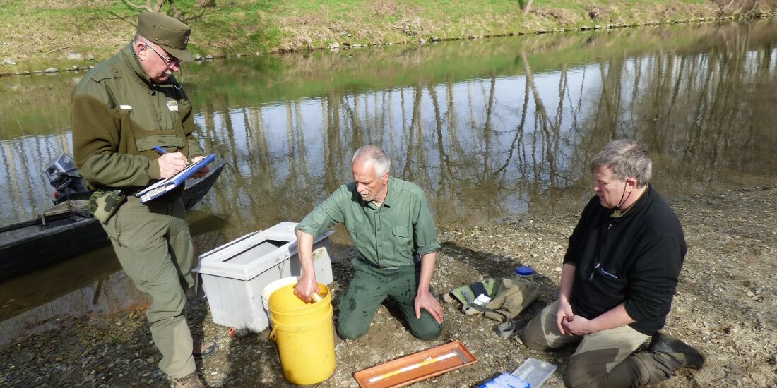 Lungo la sponda del fiume Po, un guardiaparco in piedi segna i dati relativi al monitoriaggio, mentre due volontari inginocchiati prendono un pesce da un secchio. Vicino al secchio sono presenti gli strumenti per il monitoraggio