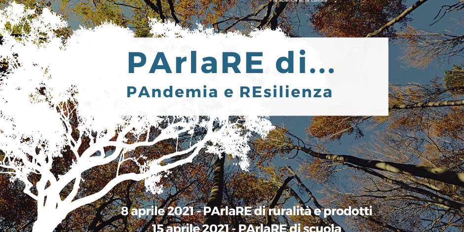 Locandina dei webinar con alberi sullo sfondo fotografati da sotto verso il cielo azzurro e testo con le date degli appuntamenti